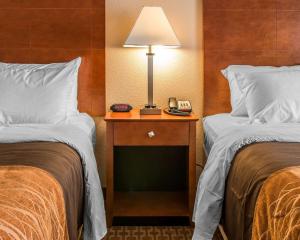 新布法罗Quality Inn Near Interstate I94的酒店客房设有两张床和一张桌子上的台灯。