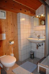 埃格Bauernhof Schneider的一间带卫生间和水槽的浴室