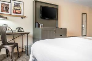 South Saint PaulenVision Hotel Saint Paul South的酒店客房设有一张床、一张书桌和一台电视机。