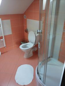 帕维西纳勒霍塔Apartmany Danka的一间带卫生间和淋浴的浴室
