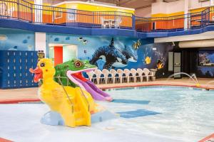 迈诺特Sleep Inn & Suites Conference Center and Water Park的水中有两个橡胶鸭子的游泳池