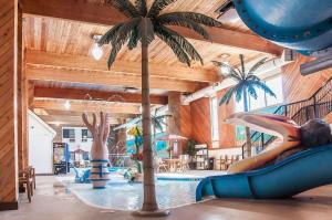 迪金森狄金森康福特茵酒店的一个带棕榈树和滑梯的室内游泳池