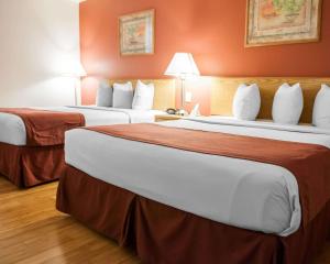阿尔伯克基阿尔伯克基旧城伊克诺旅店的配有红色墙壁的酒店客房内的两张大床
