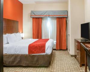 罗斯威尔罗斯维尔康福特茵酒店的配有一张床和一台平面电视的酒店客房