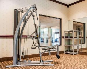 奇克托瓦加Quality Inn Near Walden Galleria Mall的一个带跑步机和镜子的健身房