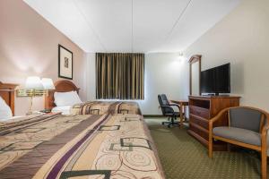 Quality Inn & Suites Binghamton Vestal的休息区
