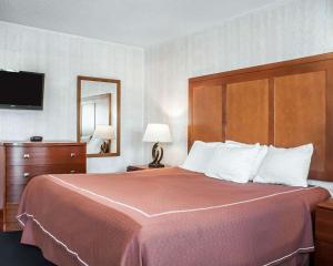 尼亚加拉瀑布Castle Inn & Suites Niagara Falls的酒店客房设有一张大床和一台电视。