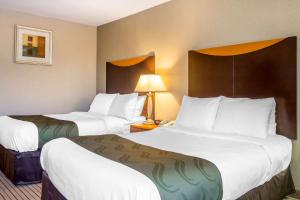 斯普林瓦利春谷 - 纳努埃特品质酒店的酒店客房,设有两张床和一盏灯