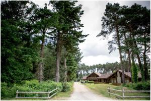 East StokeDorset Resort Hotel的通往森林小屋的土路