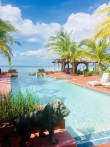 RomblonM Villa’s Farm Resort的游泳池旁的狗雕像