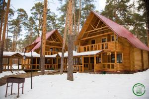 Sosnoviy BorBKC Country的雪中树林里的小木屋