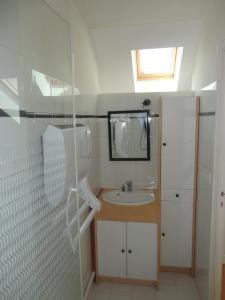 洛里昂Le Loft, l'annexe的一间带水槽和镜子的小浴室