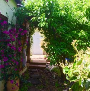 Kfar YonaThe fruit garden guesthouse的鲜花盛开的花园和带楼梯的门