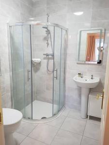 戈尔韦Balcony House的带淋浴、卫生间和盥洗盆的浴室