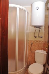 BrdoVila Jelena Zlatar Nova varoš的带淋浴和白色卫生间的浴室