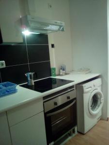 马德里Apartamentos pandiellos I的厨房配有水槽和洗衣机