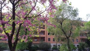 维罗纳罗密欧与朱丽叶非酒店旅馆 的公寓大楼前面有粉红色的花卉树
