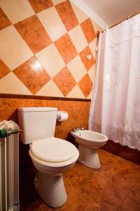 埃尔卡拉法特琳达维斯塔公寓酒店的一间带卫生间和淋浴帘的浴室