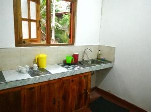 阿努拉德普勒Coco Garden Holiday Homes的带水槽的厨房台面和窗户
