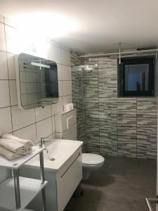 佐尔尼耶戈迪Apartment Tosca near Vintgar and Lake Bled的白色的浴室设有水槽和卫生间。