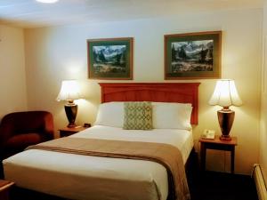 Delta JunctionAlaska Country Inn的酒店客房,配有一张床和两盏灯