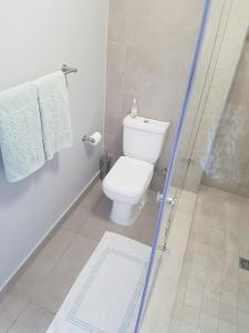 开普敦WATERS EDGE 103的一间带卫生间和淋浴间的浴室