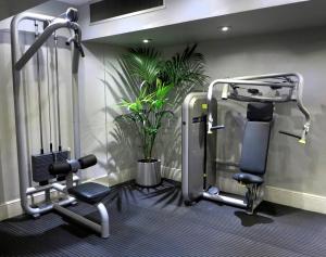 布莱顿霍夫皇后酒店&SPA的一个带跑步机和植物的健身房