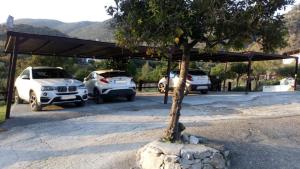 埃尔博斯克Finca El Huertezuelo的树下停放两辆车的车棚