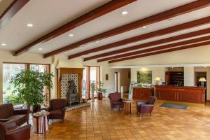 德鲁斯基宁凯里贾纳酒店的大型客厅设有木制天花板和家具。