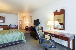 Alma阿尔玛品质酒店的酒店客房配有一张床、一张桌子和一把椅子。