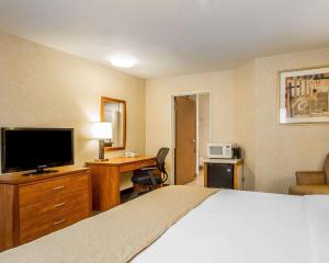 佩塔卢马佩塔卢马品质酒店的酒店客房配有一张床和一张书桌及一台电视