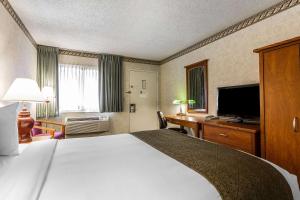 圣克拉拉圣克拉拉品质套房酒店的相册照片