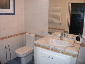 迦太基STUDIO AU COEUR de CARTHAGE HANNIBAL的一间带卫生间和水槽的浴室