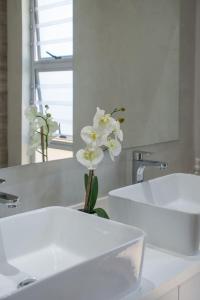 斯泰伦博斯29 Earlibelle的浴室设有两个水槽和花瓶