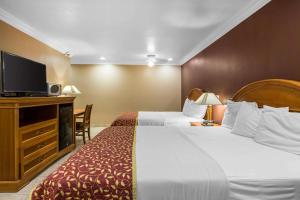 赛普里斯赛普拉斯罗德威旅馆的酒店客房设有两张床和一台平面电视。