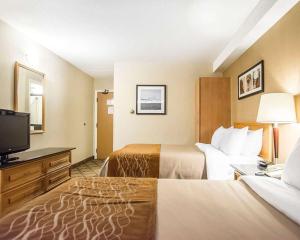 坎贝尔顿坎贝尔顿康福特茵酒店的酒店客房设有两张床和一台平面电视。