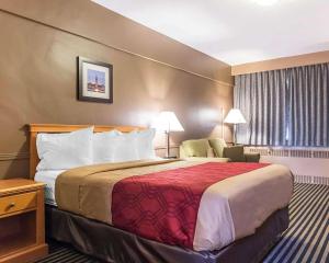 渥太华渥太华市中心经济旅馆的酒店客房带一张大床和一把椅子