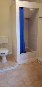布莱克浦Hotel Avano - Pleasure Beach的浴室设有卫生间和蓝色的浴帘。