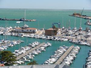 圣卡洛斯拉腊皮塔港口酒店的水中满是船只的港口