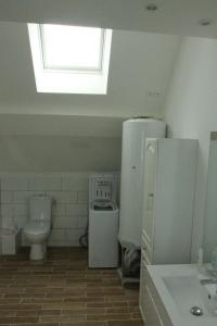 布里阿尔La maison de Maxou的一间带卫生间、冰箱和窗户的浴室