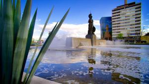 瓜达拉哈拉圣胡安酒店的水中雕像城市中的喷泉