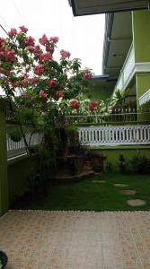 Balamban麦格达娜公寓的阳台,上面有一棵树,上面有粉红色的花朵