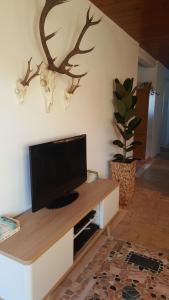 克森Appartement Unterbergblick的客厅配有电视,墙上挂着鹿头