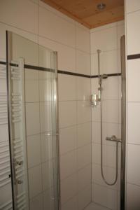 拉姆斯泰因-米森巴赫麦克拉酒店的带淋浴的浴室和玻璃门