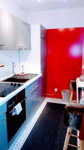 雷根斯堡雷根斯堡蓝色公寓的厨房设有红色的墙壁和水槽