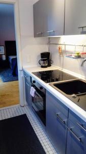 雷根斯堡雷根斯堡蓝色公寓的厨房配有炉灶和水槽