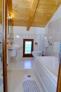 杜纳厄图德乔斯Pensiunea Pestisorul的浴室配有卫生间、浴缸和水槽。