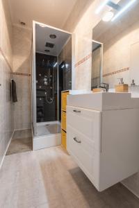 波城Appartement cœur de ville - Wifi - Lave-sèche linge的浴室配有白色水槽和淋浴。