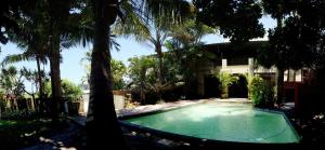 索德瓦纳湾Reefteach Lodge的棕榈树屋前的游泳池
