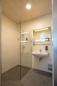 LottstettenHotel Holzscheiter的一间带玻璃淋浴和水槽的浴室
